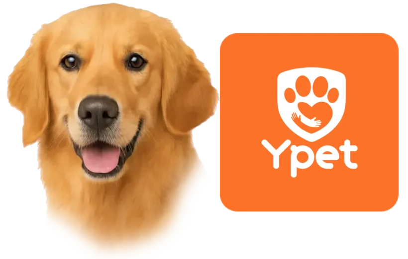 Cão e logo do Ypet